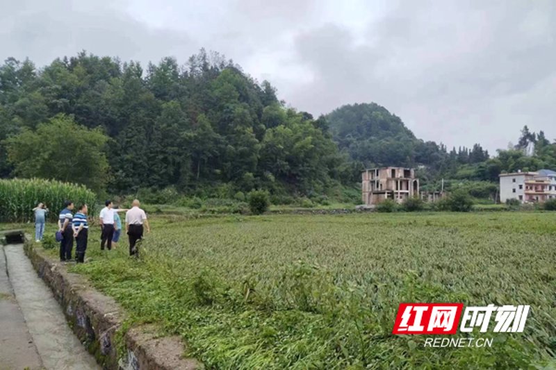 隆回农用物资：农业发展的坚强后盾