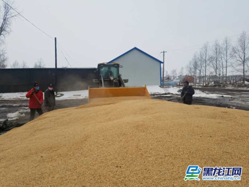 把握市场动向 掌握农用物资批发新机遇